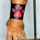 Leather Wrist Wallet with red Dog Foot Print