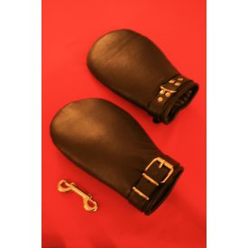 Leather Mitts