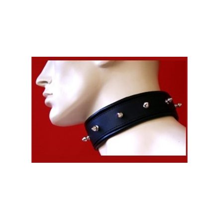 Collar with Killer Rivets.