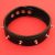 Collar with Sphere Rivets.