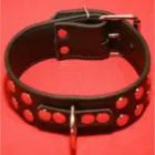 Collar with Studs