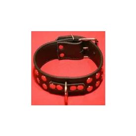 Collar with Studs
