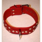 Collar with Studs