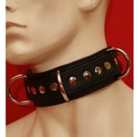 Bondage collar with D Rings