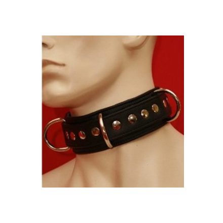 Bondage collar with D Rings