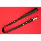 Leather Leash