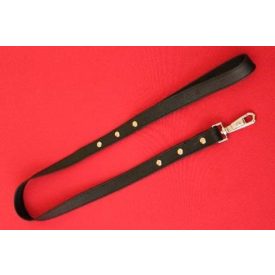Leather Leash
