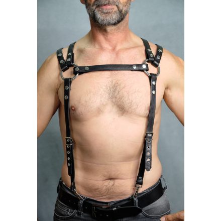 Black Dog Suspender/Harness