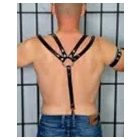 Black Dog Suspender/Harness