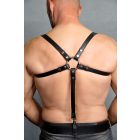 Black Dog Suspender/Harness