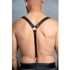 Black Dog Suspender/Harness
