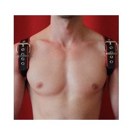 Black Dog Shoulder Harness BLACK/RED