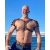 BLACK DOG GLADIATOR HARNESS