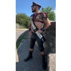 BLACK DOG GLADIATOR HARNESS