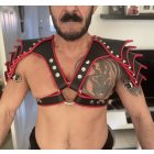 BLACK DOG GLADIATOR HARNESS