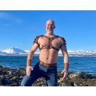 BLACK DOG GLADIATOR HARNESS