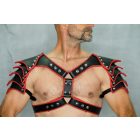 BLACK DOG GLADIATOR HARNESS