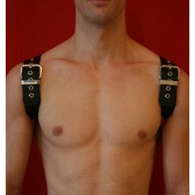 Black Dog Shoulder Harness BLACK