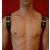 Black Dog Shoulder Harness BLACK