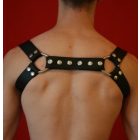 Black Dog Shoulder Harness BLACK
