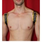 Black Dog Shoulder Harness BLACK/YELLOW