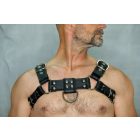 Blackdog Bulldog Harness with Piping