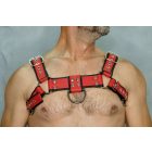 Black Dog Bulldog Harness with Piping