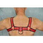 Black Dog Bulldog Harness with Piping