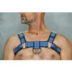Black Dog Bulldog Harness with Piping