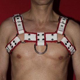 Black Dog Bulldog Harness with Piping
