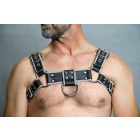 Black Dog Bulldog Harness with Piping