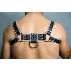 Black Dog Bulldog Harness with Piping