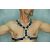 Y Font D Ring Harness