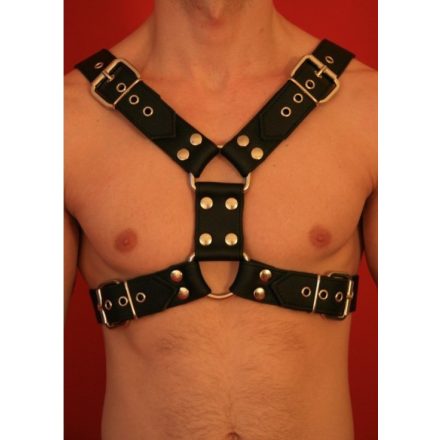 Y Font D Ring Harness