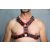 Y-front D Ring Harness 