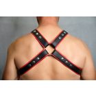 Y-front D Ring Harness 