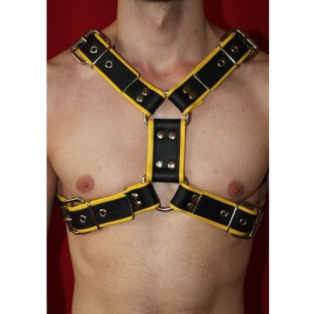 Y Font D Ring Harness