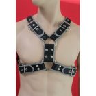 Y Font D Ring Harness