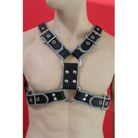 Y Font D Ring Harness