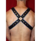 Y Font D Ring Harness