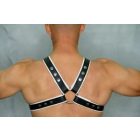 Y Font D Ring Harness