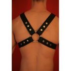 D Ring Harness with Panic Carabiner and Penis Band