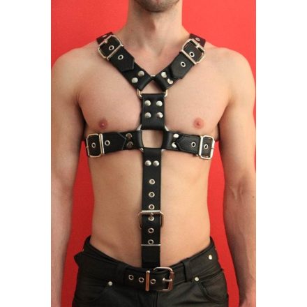 D Ring Harness with Penis Ring