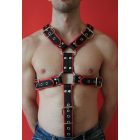 Pipped D Ring Harness with Penis Ring