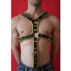 Pipped D Ring Harness with Penis Ring
