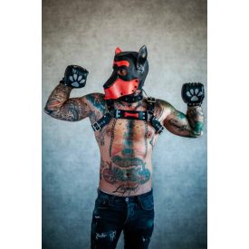 Puppy Chest Harness With Red Bone