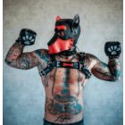 Black Dog Puppy Chest Harness with Bone