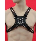 Dog Harness
