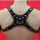 Dog Harness