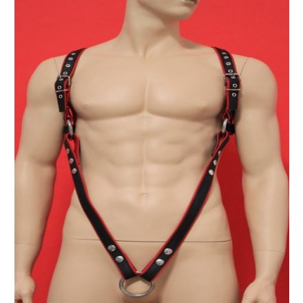 Leather Harness ,V-Style